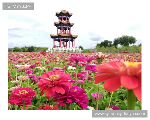鼓浪听涛冬泳曲厦门人的海洋健身之道 鼓浪听涛冬泳曲厦门人的海洋健身之道