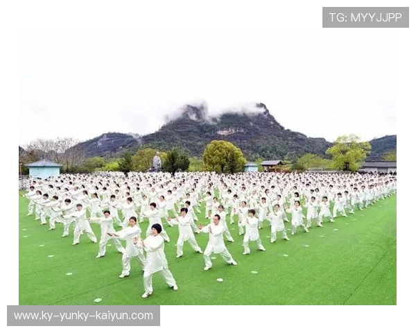 聚焦首个国际太极拳日武夷山太极拳大型展演活动圆满落幕 聚焦首个国际太极拳日武夷山太极拳大型展演活动圆满落幕