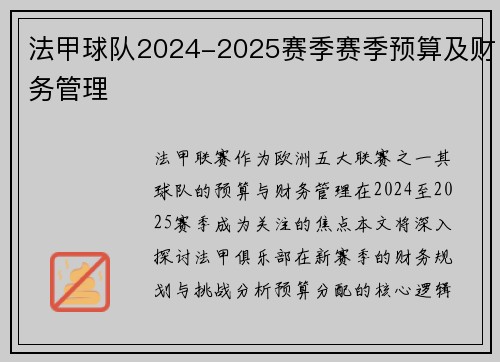法甲球队2024-2025赛季赛季预算及财务管理